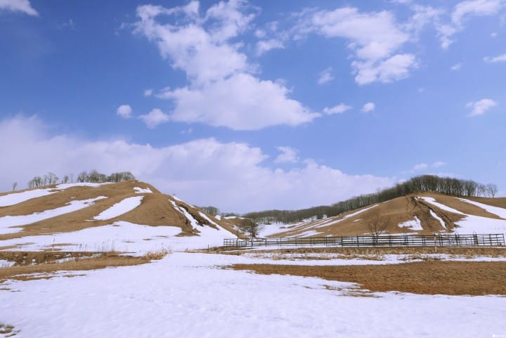 冬季北海道有什么好玩的!无经验也能体验无系绳雪地驾马