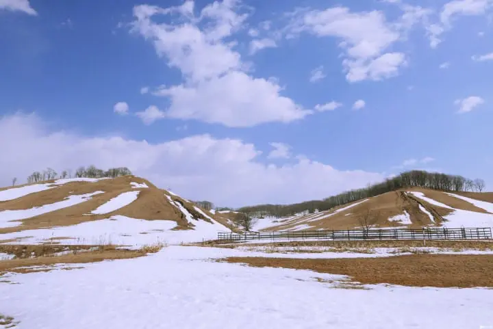 冬季北海道有什么好玩的！无经验也能体验无系绳雪地驾马