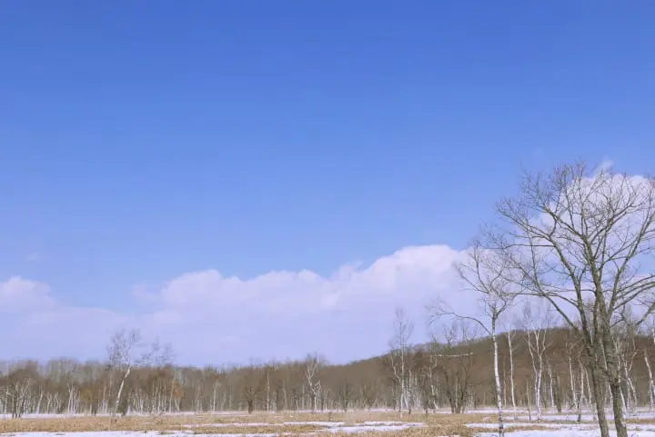 冬季北海道有什么好玩的！无经验也能体验无系绳雪地驾马