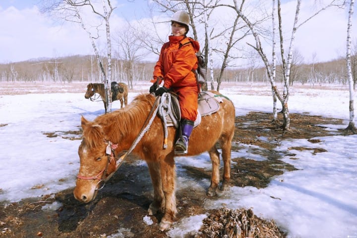 北海道才能体验!在钏路湿原尝试雪地骑马