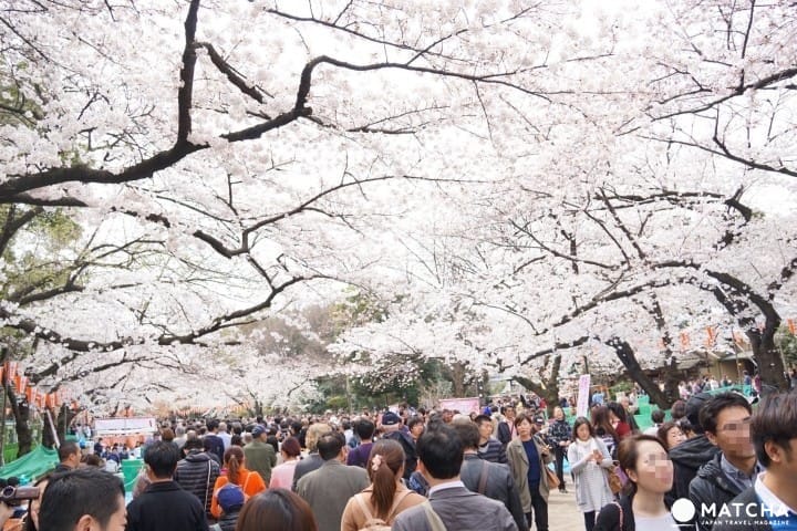 ตะลุย สวนอุเอโนะ (Ueno Park) แบบจัดเต็ม! สวนสัตว์ พิพิธภัณฑ์ วัด ศาลเจ้า