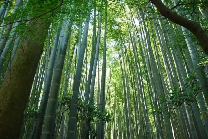 鎌倉のモデルルート