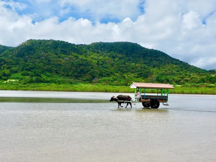 沖縄離島の魅力と交通アクセス