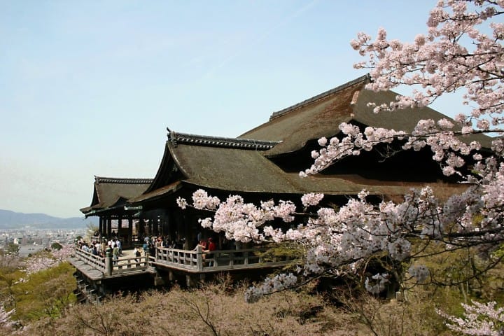 【SAKURA】京都の桜を満喫!花見のベストスポット之楽しむためのヒント