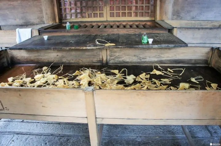 探訪岐阜縣千代保稻荷神社及當地有名的玉家串燒店。