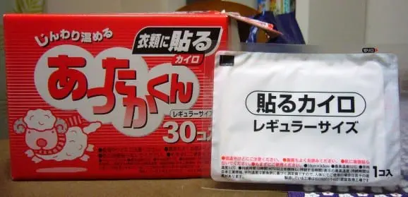 4 Things you need to survive a Japanese Winter
