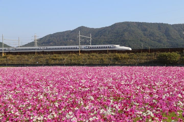 東京、東北、北海道一券搞定!好用划算交通票券3選