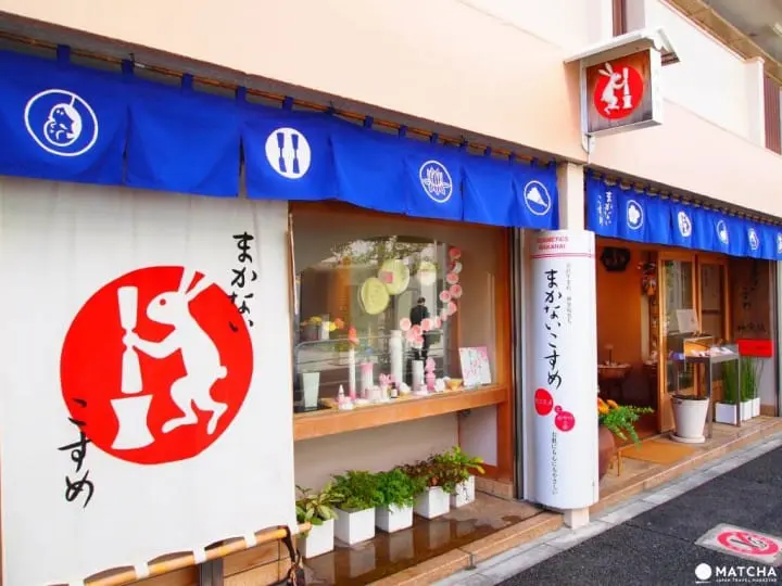 『一人旅』一個人也可以玩的好好的東京推薦景點