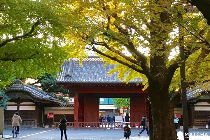 東京大學赤門