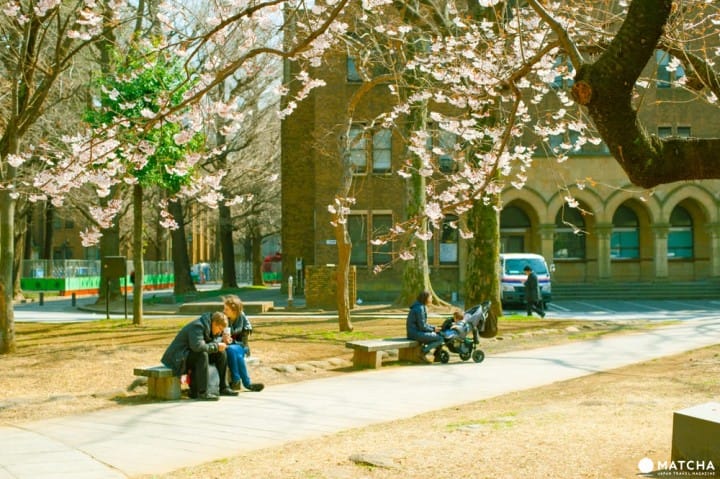 東京大學