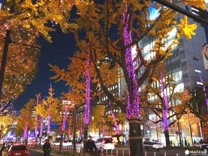 關西大阪冬季限定 2016光之饗宴