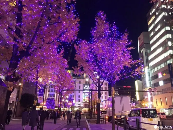 關西大阪冬季限定 2016光之饗宴