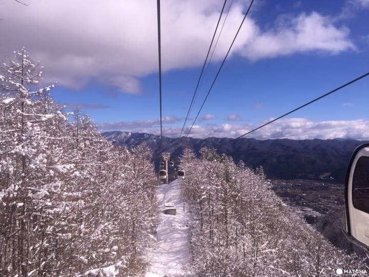 【長野】與雪共舞!白馬八方尾根滑雪場
