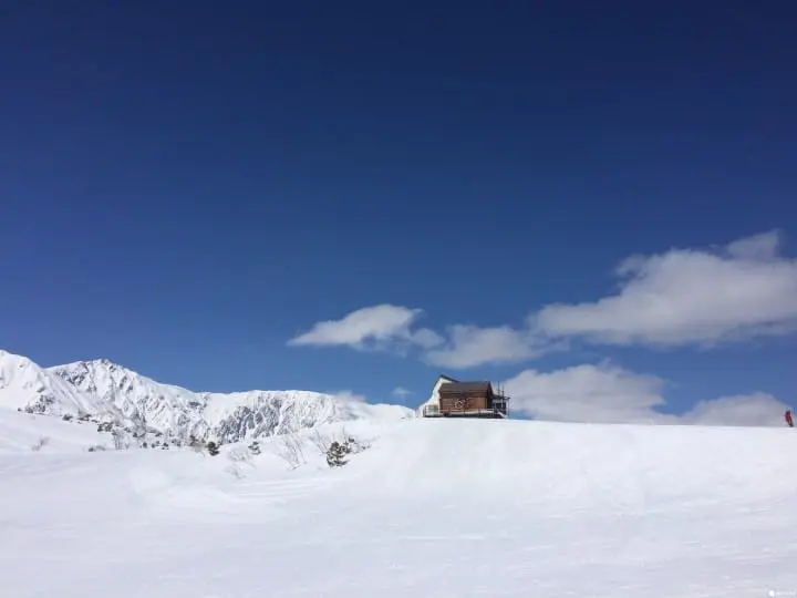 【雪白聖誕節】來日本第一的滑雪場迎接雪白耶誕節吧! - 關東白馬八方尾根滑雪場