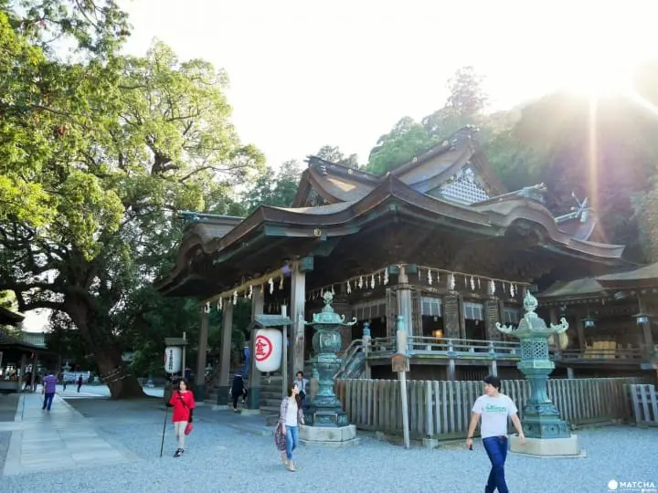 好運要求神　新年新御守特輯