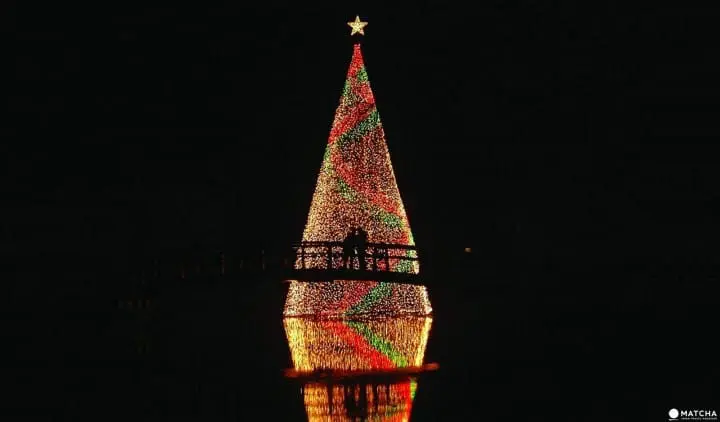 「日本夜景遺産」認定、全國點燈秀排行榜第一名：足利花卉公園