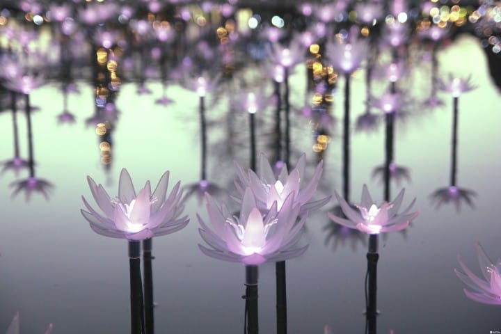 「日本夜景遺産」認定、全國點燈秀排行榜第一名:足利花卉公園