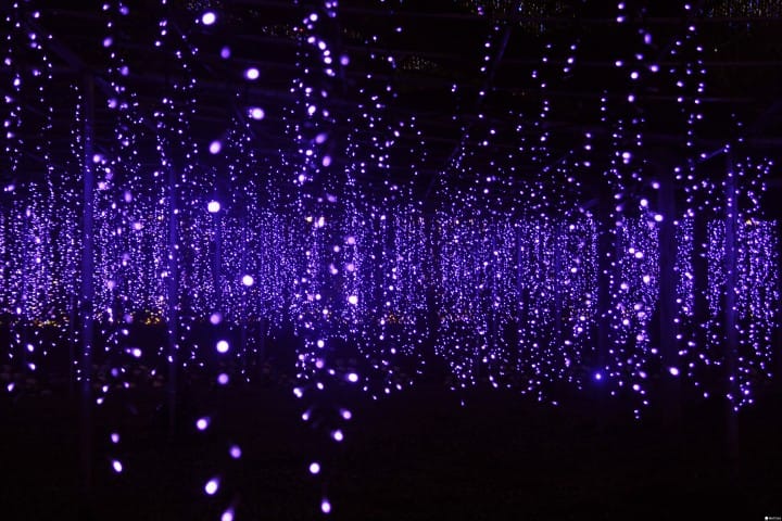「日本夜景遺産」認定、全國點燈秀排行榜第一名:足利花卉公園