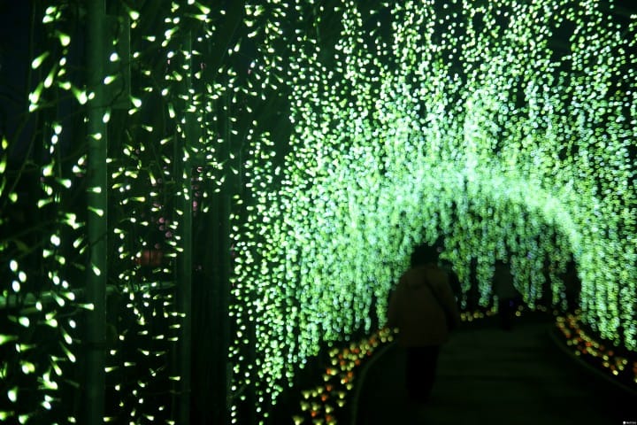 「日本夜景遺産」認定、全國點燈秀排行榜第一名:足利花卉公園