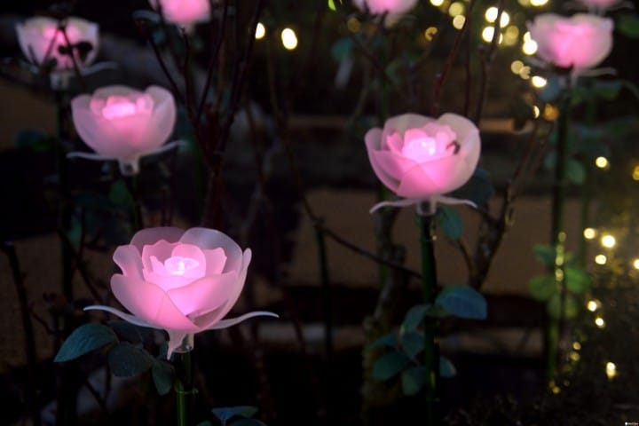 「日本夜景遺産」認定、全國點燈秀排行榜第一名:足利花卉公園