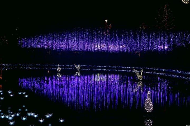 「日本夜景遺産」認定、全國點燈秀排行榜第一名:足利花卉公園