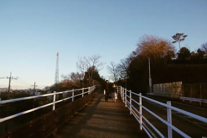 「日本夜景遺産」認定、全國點燈秀排行榜第一名：足利花卉公園