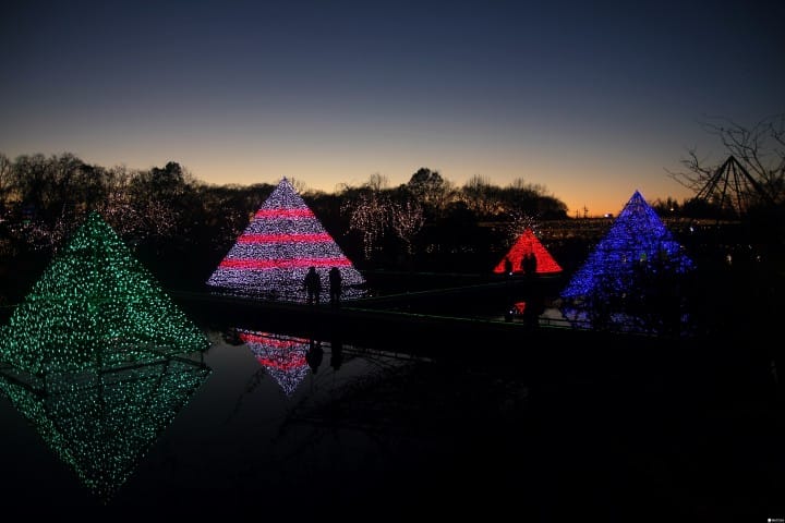「日本夜景遺産」認定、全國點燈秀排行榜第一名:足利花卉公園