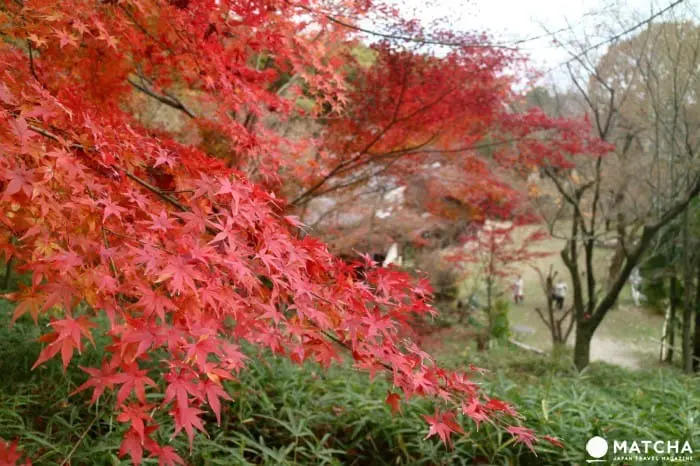 江戸時代の民家が大阪に大集合！日本民家集落博物館