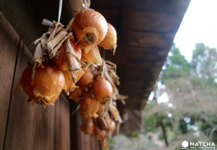 江戸時代の民家が大阪に大集合！日本民家集落博物館