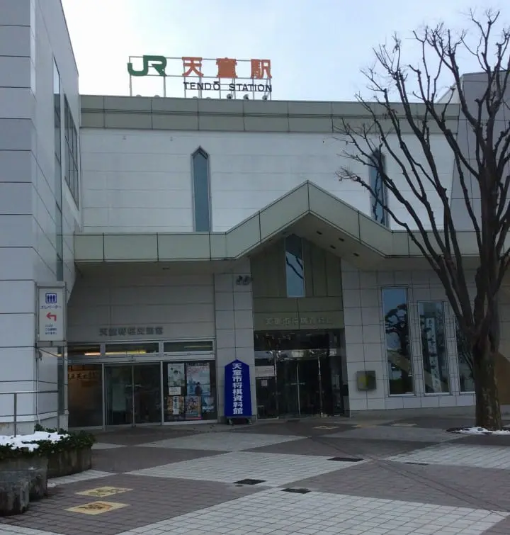 Made in Tendo - Shogi Koma (Pieces)