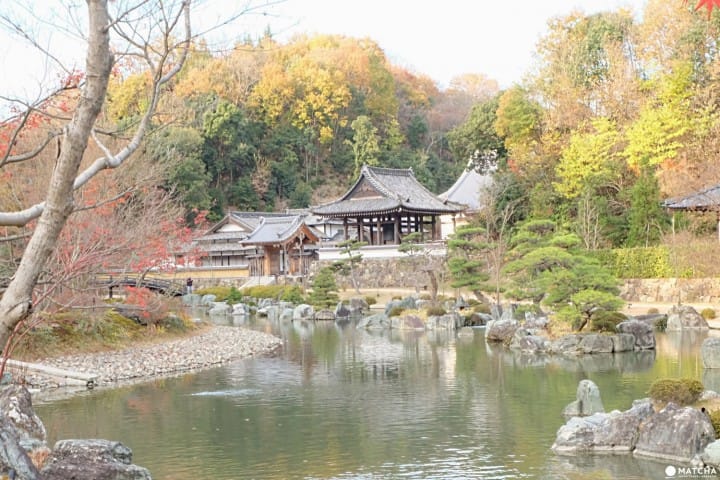 日本の伝統文化を体験できる町、福山のオススメ観光スポット4選