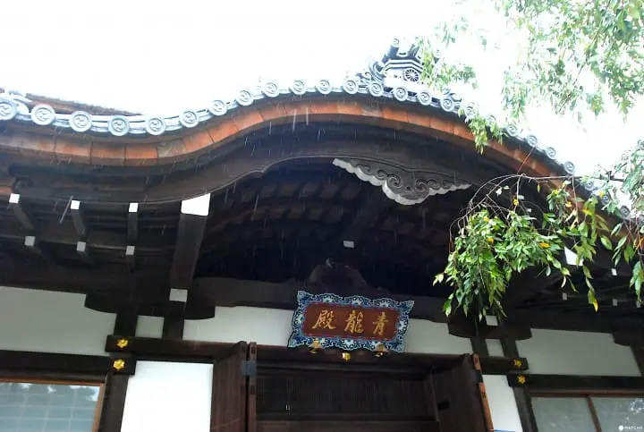 眺望京都新景点 跃上东山的青龙殿 