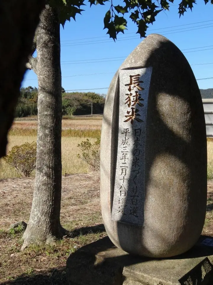 A 260-year old local brewery producing sacred sake for Meiji Shrine and diversifying for the future