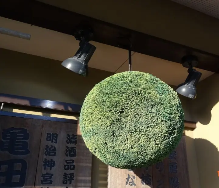 Kameda Sake Brewery - Diversifying For The Future (Part 2)