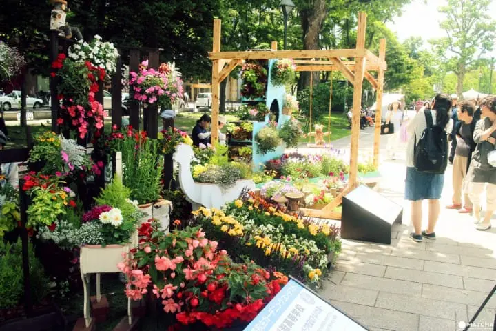 Five free activities in Sapporo: Explore the city on a budget