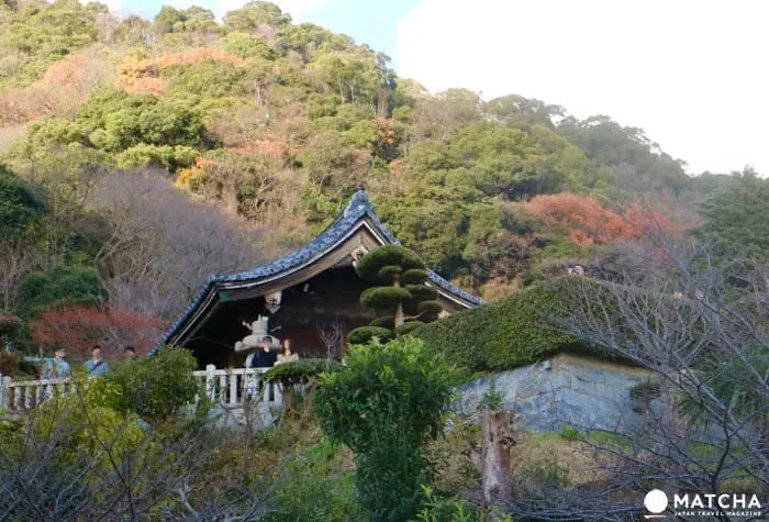 The Weathercock House, A Kobe Foreign Settler's Residence