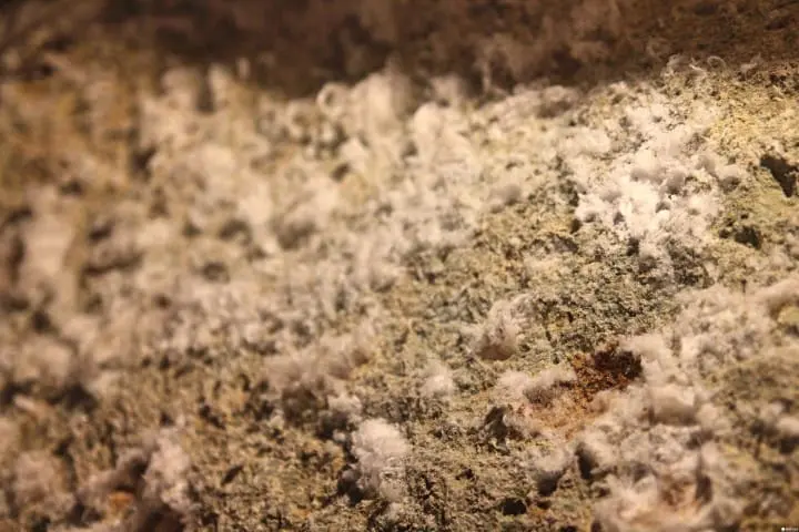 【千元旅行・宇都宮篇（上）】用一張「大谷観光一日乗車券」享受奇幻石之都半日旅