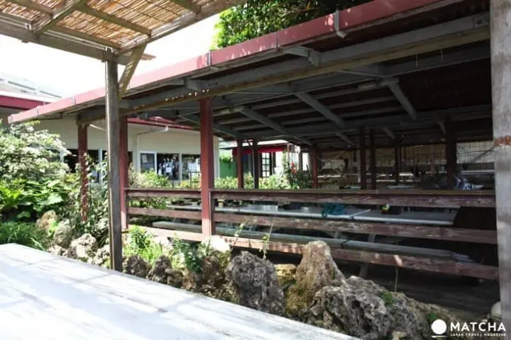 Pemandagangan Laut yang Mengagumkan dan Okinawa Soba yang Terkenal dari “Kunnatō”