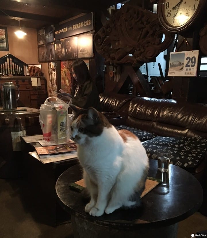 Kita Onsen: Travel back in time to a secluded mountain onsen in northern Tochigi Prefecture and the experience the ambiance of the Edo period