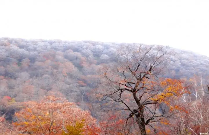 Kita Onsen: Travel back in time to a secluded mountain onsen in northern Tochigi Prefecture and the experience the ambiance of the Edo period
