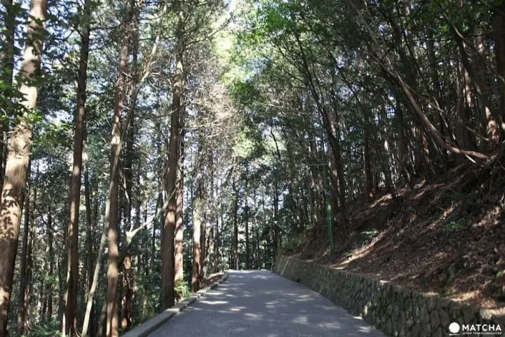 環視瀨戶內海絕景的日本城堡 — 山口縣「岩國城」