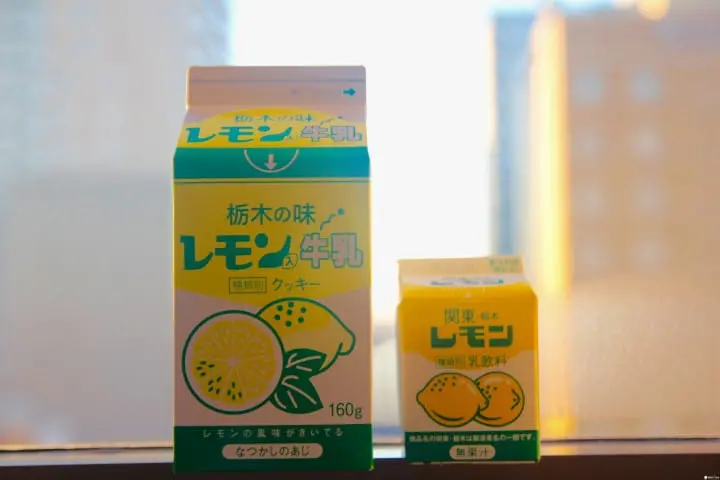 【千元旅行・宇都宫篇（下）】用一张“大谷観光一日乗车券”走访宇都宫美景与美味。