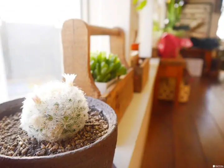 當自己家般自在！來下北澤縮進暖桌喝杯咖啡stay happy