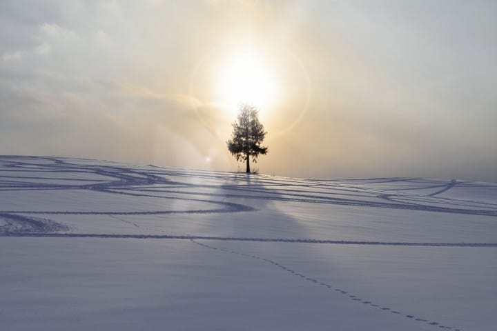 『北國暴風雪對策』冬季也可以安心遊北海道