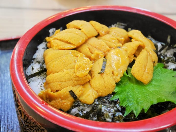 用500日圓吃遍排隊美食!日本外食族不能說的秘密『午餐護照』