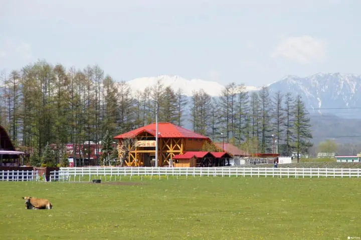 2017年北海道最愛10大甜品店(菓子店)下篇