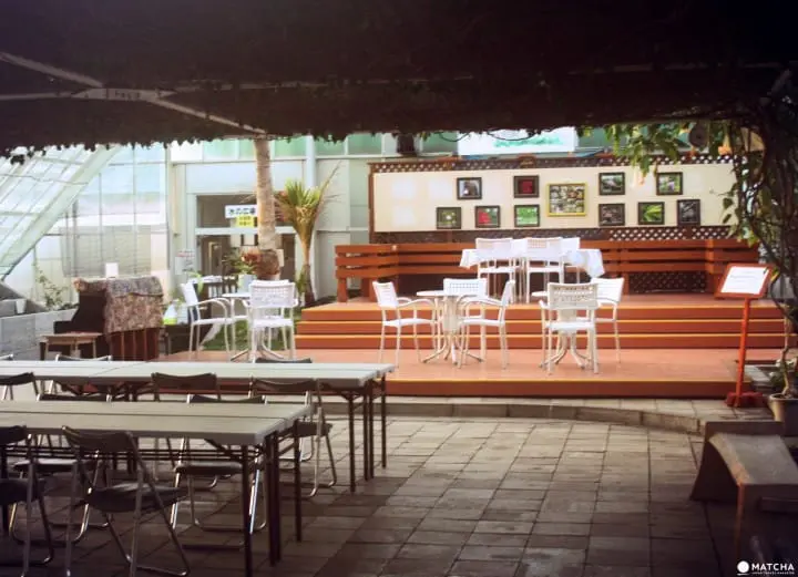 Hakodate Tropical Botanical Garden