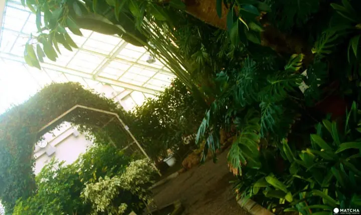 Hakodate Tropical Botanical Garden