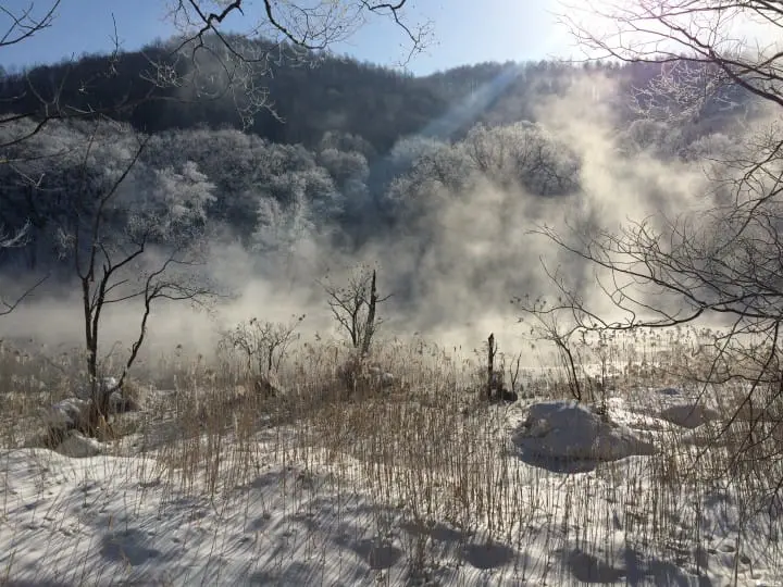 仙境般的秘境鳥沼公園