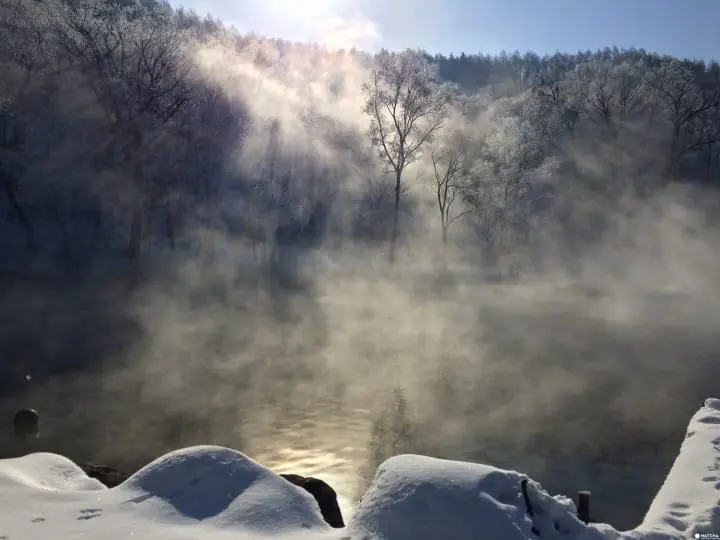 仙境般的秘境鳥沼公園
